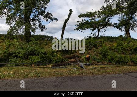 In Moliets et Maa, im Stadtzentrum, traf am 22. Juni gegen 5am Uhr ein extrem heftiger und sehr örtlich begrenzter Sturm die Landes und verursachte zahlreiche Schäden (Foto: Jerome Gilles/NurPhoto) Stockfoto