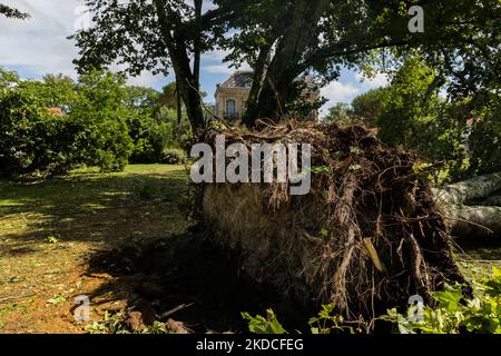 In Moliets et Maa, im Stadtzentrum, traf am 22. Juni gegen 5am Uhr ein extrem heftiger und sehr örtlich begrenzter Sturm die Landes und verursachte zahlreiche Schäden (Foto: Jerome Gilles/NurPhoto) Stockfoto