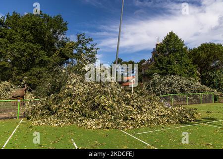 In Moliets et Maa, im Stadtzentrum, traf am 22. Juni gegen 5am Uhr ein extrem heftiger und sehr örtlich begrenzter Sturm die Landes und verursachte zahlreiche Schäden (Foto: Jerome Gilles/NurPhoto) Stockfoto