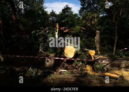 In Moliets et Maa, im Stadtzentrum, traf am 22. Juni gegen 5am Uhr ein extrem heftiger und sehr örtlich begrenzter Sturm die Landes und verursachte zahlreiche Schäden (Foto: Jerome Gilles/NurPhoto) Stockfoto