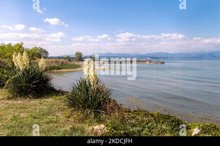 Seeblick von Peschiera, Lago di garda (Gardasee), Italien Stockfoto