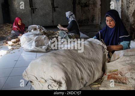 Frauen werden am 29. Juni 2022 in Cihampelas, Cililin, West Bandung Regency, bei der Herstellung von Wraps für traditionelle Wajit-Lebensmittel beobachtet. West-Java, Indonesien. Die Händler sagten, dass Ende Juni 2022 der Umsatz mit traditionellen Lebensmitteln Wajit Cililin um bis zu 60 Prozent gestiegen ist oder neun Tonnen pro Monat verkaufen könnte, verglichen mit dem Vorjahr, das aufgrund von COVID-19 nur drei Tonnen pro Monat verkaufte. Wajit ist ein traditionelles Essen, typisch für Cililin, West Bandung Regency, das aus klejedem Reis, Palmzucker und Kokosnuss hergestellt wird. (Foto von Algi Febri Sugita/NurPhoto) Stockfoto