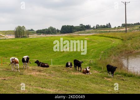 Die Krallen ruhen auf der polnischen Seite von Suwalki Gap in landwirtschaftlicher Landschaft am 29. Juni 2022 an der polnisch-lituanischen Grenze in der Nähe der Straße E67. Die polnische Grenze zu Litauen liegt zwischen dem Gebiet von Königsberg (Teil Russlands) und Weißrussland und erstreckt sich über 100 Kilometer. Das Gebiet heißt Suwalki Gap und ist die einzige Verbindung zwischen den baltischen Staaten und dem Rest der NATO und der Europäischen Union. Nachdem Litauen sich weigerte, sanktionierte Güter per Bahn vom russischen Festland nach Königsberg zu transportieren, drohte der russische Präsident Wladimir Putin Litauen mit ernsthaften Konsequenzen. Sowohl die NATO als auch die Europea Stockfoto