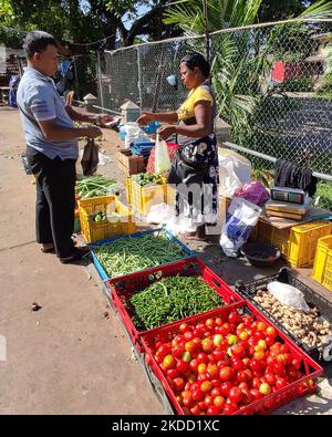 Ein Sri-lankischer kauft Gemüse und Obst von einem lokalen Markt in Colombo, Sri Lanka. 1. Juli 2022. Die Inflation in Sri Lanka erreichte im Juni einen neunten Rekord in Folge, wie offizielle Daten am Freitag (1. Juli) zeigten und stieg auf 54,6 Prozent einen Tag, nachdem der IWF die bankrotte Nation aufgefordert hatte, galoppierende Preise und Korruption einzudämmen. Die Lebensmittelpreise sind nach Angaben der Volkszählung und Statistik seit Februar 2020 um 102,7 Prozent gestiegen. (Foto von Tharaka Basnayaka/NurPhoto) Stockfoto