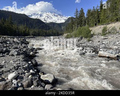 Der Nisqually River wird am Dienstag, den 28 2022. Juni, vom Nisqually Glacier auf dem Mount Rainier im Mt Rainier National Park gespeist. Der Gletscherfluss wird durch das Wasser, das vom Nisqually-Gletscher fließt, ständig überarbeitet. Der Fluss ist vom Gletscherbett aus mit feinem Gestein und Sedimentboden beladen und färbt das Wasser milchig-weiß. Foto von Tom O'Neill (Foto von Thomas O'Neill/NurPhoto) Stockfoto