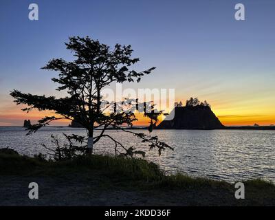 Am Mittwoch, den 22. Juni 2022, wurden im Pazifik bei Sonnenuntergang vom First Beach in La Push im Olympic National Park im Bundesstaat Washington Meeresstacks beobachtet. (Foto von Thomas O'Neill/NurPhoto) Stockfoto