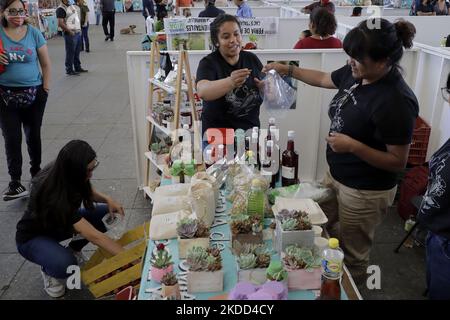 Verkauf von Produkten während der Eröffnung der Messe für handwerkliche und nachhaltige Produkte an der Esplanade der Macroplaza Cuitláhuac im Stadtteil Iztapalapa von Mexiko-Stadt, mit der Teilnahme von mehr als 40 Ausstellern und Produzenten aus dem Inneren der mexikanischen Republik, Die an den Bundesprogrammen Sembrando Vida und Conservación de Áreas Naturales (Aussaat von Leben und Erhaltung von Naturgebieten) teilnehmen. Der Zweck dieser Messe ist es, ihre umweltfreundlichen Produktionsmethoden nach Mexiko-Stadt zu bringen, mit dem Mehrwert, den der Verbrauch der ganzen Vielfalt von artis bietet Stockfoto