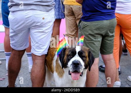 Teilnehmer mit ihrem Hund an der Parade 'Plumas y Patitas' des LGTBI Pride 2022, am 3. Juli 2022, in Madrid (Spanien). Alle Tiere, die an der Veranstaltung teilnehmen, werden adoptiert, und zusätzlich zur Parade gibt es einen Fotocall- und Solidaritätsmarkt, dessen Vorteile für mehrere Tierverbände bestimmt sind. Der Zweck der Parade ist es, gegen Tiermissbrauch zu demonstrieren. MADO'22, das große LGBTIQ Pride Festival, (Foto von Oscar Gonzalez/NurPhoto) Stockfoto