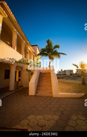 Gebäude im Meer, mit Palmen und Sandfarben des Sonnenuntergangs. Stockfoto