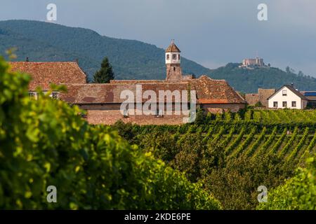 Kloster Heilbruck, Schloss Hambach im Hintergrund, Edenkoben, Pfalz, Rheinland-Pfalz, Deutschland Stockfoto