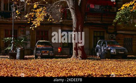 Herbstkomposition. Gelber, gefallener Baum lässt den Teppich des Odessa-Hofes mit Autos und einem Wohnhaus im Hintergrund aus. Odessa, Ukraine. Stockfoto
