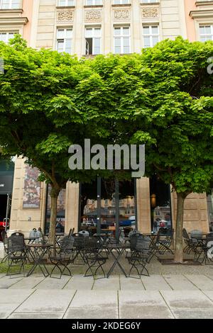 Privater Restaurantbereich im Zentrum der Stadt. Die Tische werden unter gepflegten getrimmten Bäumen aufgestellt. Stockfoto