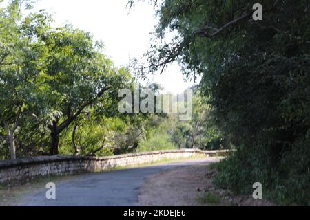 Panoramablick auf die wunderschöne Landschaft Rumäniens. Sonniger Nachmittag. Wunderbare Frühlingslandschaft in den Bergen. Grasfeld und sanfte Hügel. Ländliche Szene Stockfoto