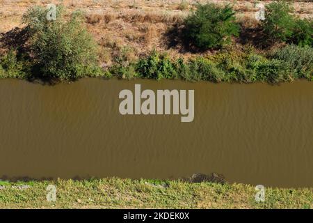 Schmutziger Fluss im Frühling aus der Vogelperspektive. Es kann als Hintergrund verwendet werden. Nahaufnahme. Stockfoto