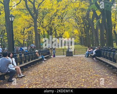 New York, NY, USA. 5.. November 2022. Touristen werden im Herbst im Central Park in New York City gesehen. (Bild: © Pacific Press via ZUMA Press Wire) Stockfoto