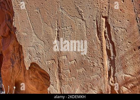 Twyfelfontein, Namibia - 07 16 2013: Felsgravuren sind ein UNESCO-Weltkulturerbe im Norden Namibias Stockfoto