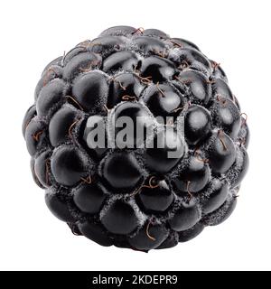Blackberry auf weißem Hintergrund, Beschneidungspfade, volle Tiefenschärfe Stockfoto