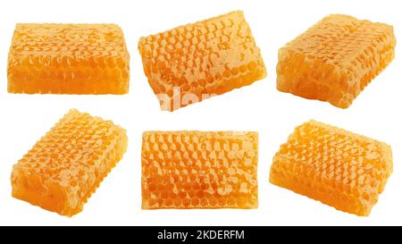 Wabe isoliert auf weißem Hintergrund, Beschneidungspfad, volle Schärfentiefe Stockfoto