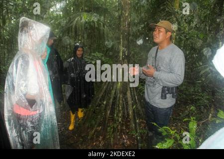 Eine Gruppe von Touristen und Reiseführer im ecuadorianischen Amazonas-Regenwald, fotografiert im Cuyabeno Reserve Ecuador Stockfoto