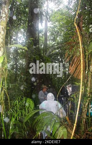 Eine Gruppe von Touristen und Reiseführer im ecuadorianischen Amazonas-Regenwald, fotografiert im Cuyabeno Reserve Ecuador Stockfoto