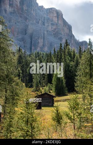 Typische Alp mit Heuschuppen in den Dolomiten im Naturpark Fanes Sennes Prags, Südtirol in Italien Stockfoto