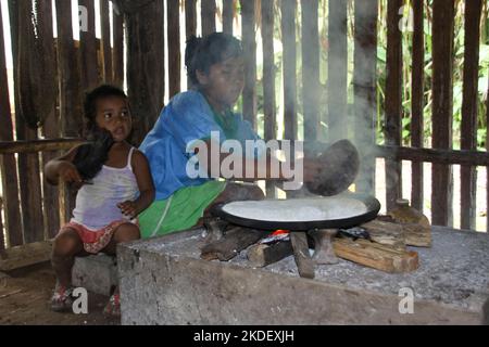 In einem Dorf in Siona im Cuyabeno Wildlife Reserve, Ecuador, demonstriert Woman die Zubereitung und das Kochen von Yucca-Wurzeltortillas in einer Innenküche. Stockfoto