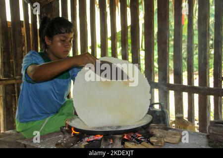 In einem Dorf in Siona im Cuyabeno Wildlife Reserve, Ecuador, demonstriert Woman die Zubereitung und das Kochen von Yucca-Wurzeltortillas in einer Innenküche. Stockfoto