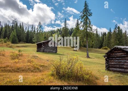 Typische Alp mit Heuschuppen in den Dolomiten im Naturpark Fanes Sennes Prags, Südtirol in Italien Stockfoto