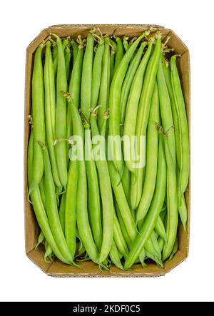 Frische grüne Bohnen in einer Pappschachtel. Junge, unreife Früchte einer Sorte der gemeinen Bohne oder auch der französischen Bohne, Phaseolus vulgaris. Stockfoto