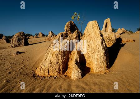 Hervorragende Pinnacles im Nambung National Park. Stockfoto