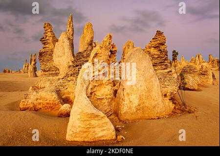 Hervorragende Pinnacles im Nambung National Park. Stockfoto