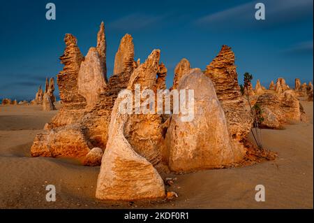 Hervorragende Pinnacles im Nambung National Park. Stockfoto