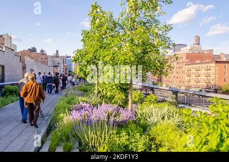 NEW YORK CITY - 26. Mai: Der High Line Park in Manhattan, New York City, USA, 26. Mai 2013. Die High Line ist eine beliebte linear Park gebaut auf der Stockfoto