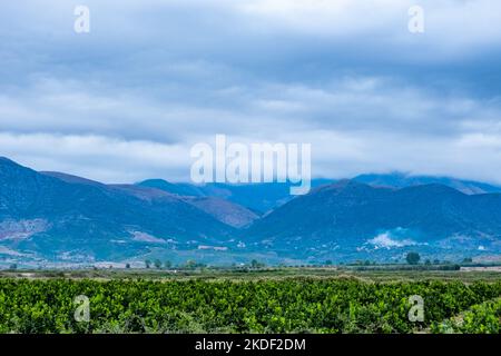 Berge in Albanien entlang der Autobahn an einem Sommertag Stockfoto