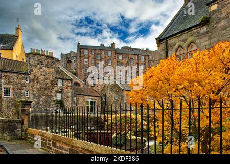 Edinburgh Scotland Dean Village beherbergt Apartments und farbenfrohe goldene Acer-Blätter im Herbst Stockfoto