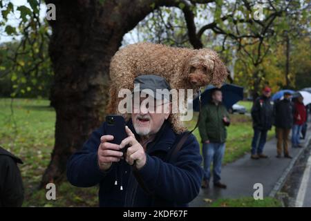 Staplefield, Großbritannien. 06.. November 2021. Während des historischen Veteran Car Run von London nach Brighton kämpfen die Teilnehmer in ihren Oldtimern gegen das Wetter. Ein Zuschauer trägt seinen Hund auf seiner Schulter. Quelle: Uwe Deffner/Alamy Live News Stockfoto