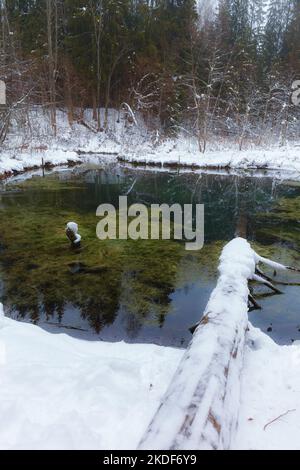 Saula blaue Quellen (siniallikad in Estnisch) bei verschneiten Winter Stockfoto