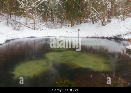 Saula blaue Quellen (siniallikad in Estnisch) bei verschneiten Winter Stockfoto