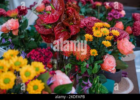 Dunkles Pflaumenlila Chrysanthemen Blumenhintergrund. Stockfoto