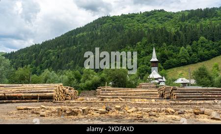 Schnittbäume, Waldschneidefläche, Waldschutzkonzept. Holzfäller mit modernem Harvester und Baumhaufen. Forstwirtschaft. Stockfoto