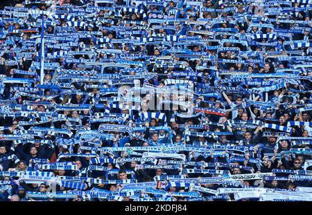 Berlin, Deutschland. 05.. November 2022. Hertha Fans im Spiel HERTHA BSC BERLIN - FC BAYERN MÜNCHEN 2-3 1.Deutsche Fußballliga am 4. November 2022 in Berlin, Deutschland. Saison 2022/2023, Spieltag 13, 1.Bundesliga, FCB, München, 13.Spieltag Credit: Peter Schatz/Alamy Live News Stockfoto