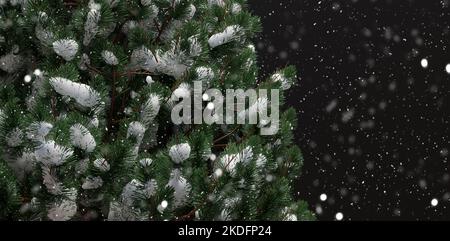 Schneebedeckter Ast, kalter Winter, Schneefall im Wald in der Nacht. Weihnachtsfeiertag Grußkarte Vorlage. 3D Rendern Stockfoto