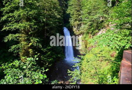 Der Wasserfall Palovit befindet sich in Rize, Türkei, und ist einer der meistbesuchten Orte der Region. Stockfoto