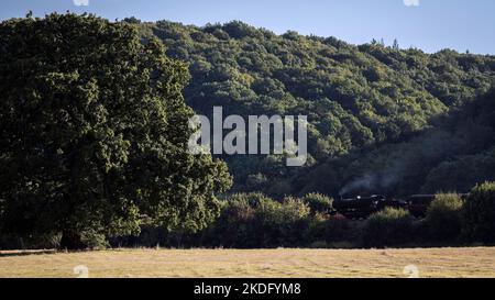 Bahnreise in Arley Country, Bewdley, Worcestershire, Großbritannien Stockfoto