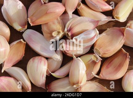 Ein Haufen bunter Knoblauchzehen Stockfoto