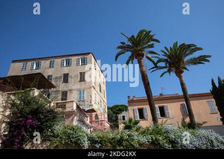 Haus Fassade in Ile Rousse Korsika am mittelmeer im Sommer Stockfoto