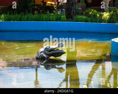 Betonkrokodil in der Mitte der schmutzigen Wasserquelle Stockfoto