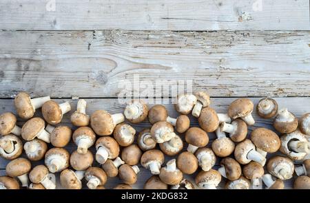 Pilze auf einem hölzernen Hintergrund Stockfoto