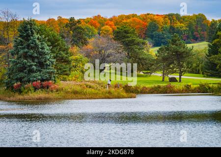 Dunbars Teich auf der Meach Cove Farm im Herbst Stockfoto