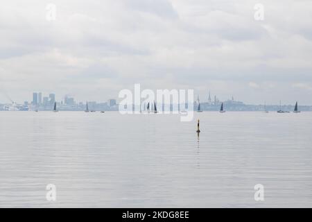Die Skyline von Tallinn von gegenüber Stockfoto